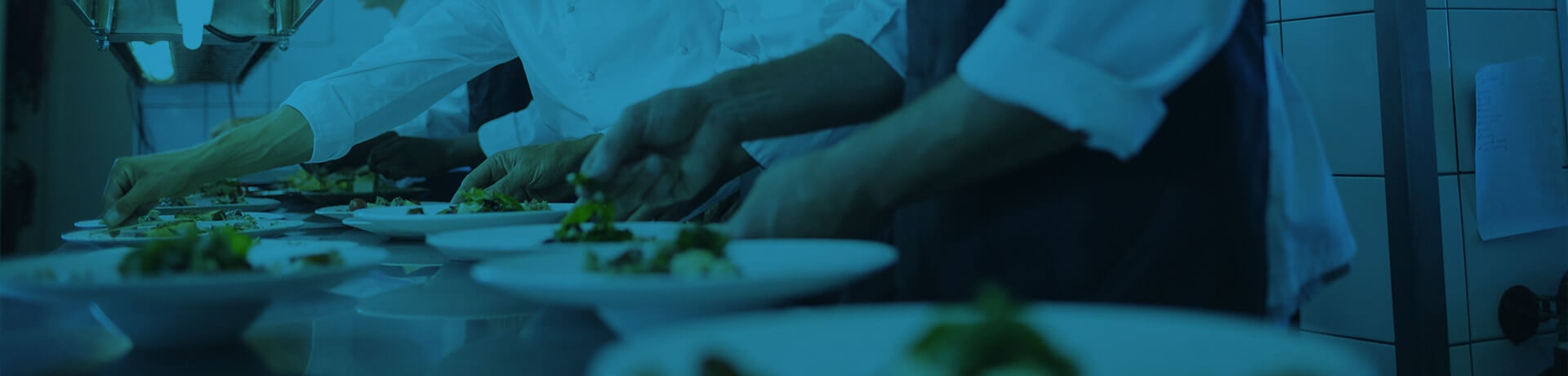 line cooks in hospitality industry