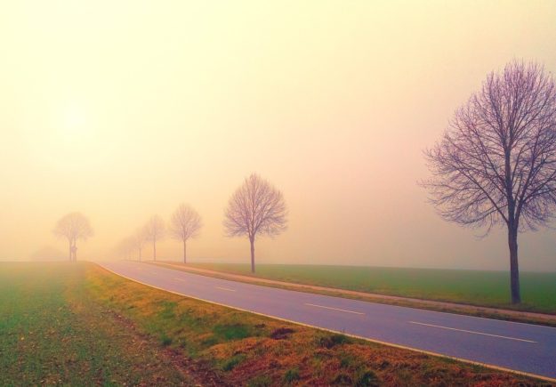 foggy road