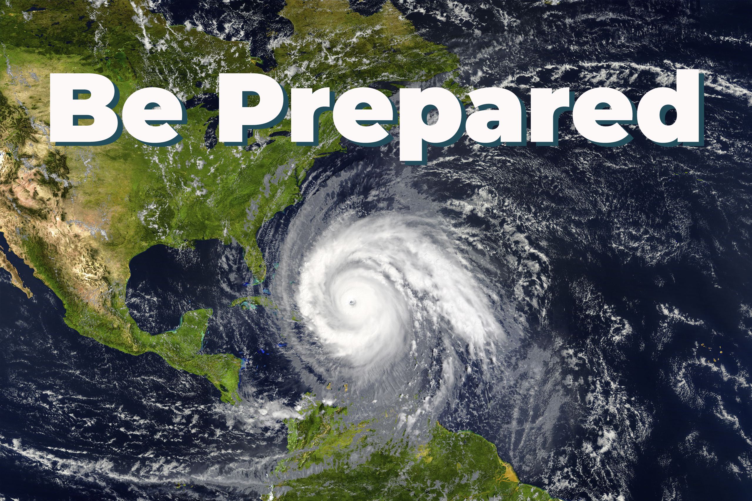 Scientist measuring environmental water quality parameters in a wetland.