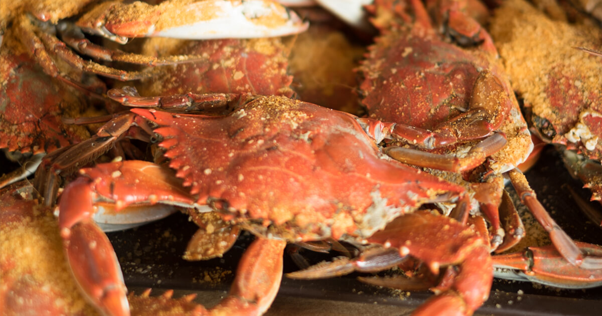 Blog-bluecrab